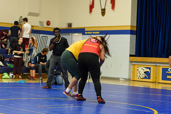 Wrestling DHS 011516-3-4424