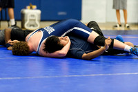 Wrestling DHS 011516-3-2489