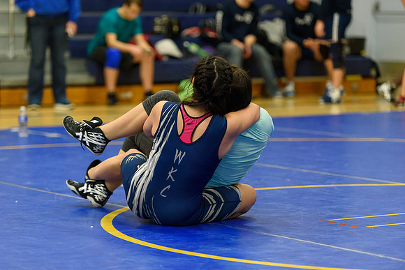 Wrestling DHS 011516-3-4343
