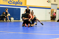 Wrestling DHS 011516-3-3697