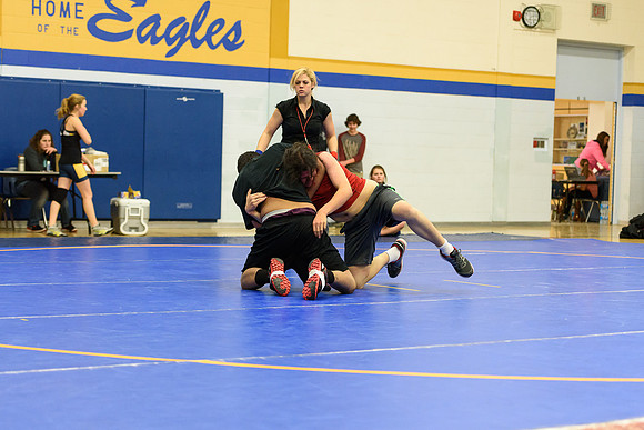 Wrestling DHS 011516-3-3697
