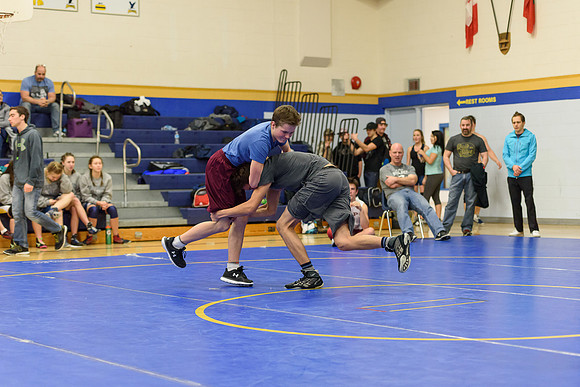 Wrestling DHS 011516-3-2942