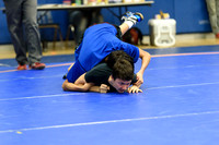 Wrestling DHS 011516-3-2752