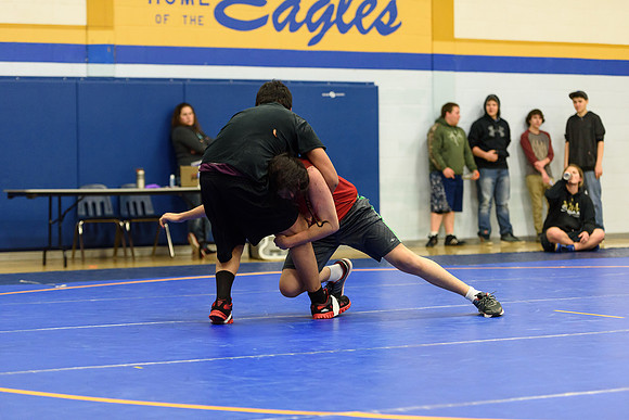 Wrestling DHS 011516-3-3717