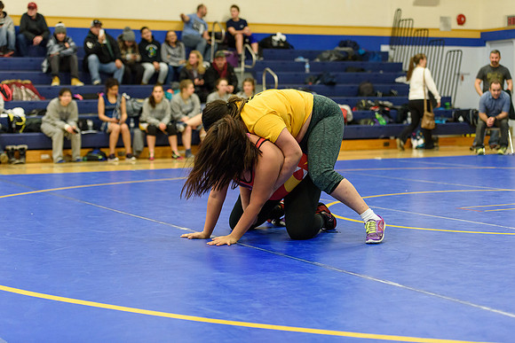 Wrestling DHS 011516-3-2711