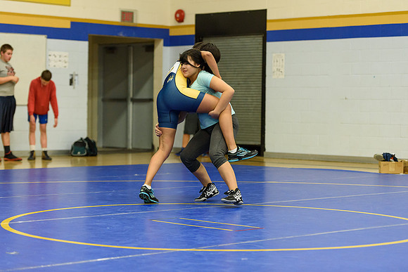 Wrestling DHS 011516-3-5089