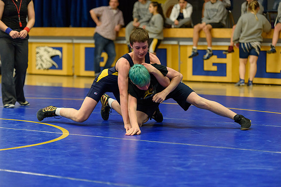Wrestling DHS 011516-3-5296