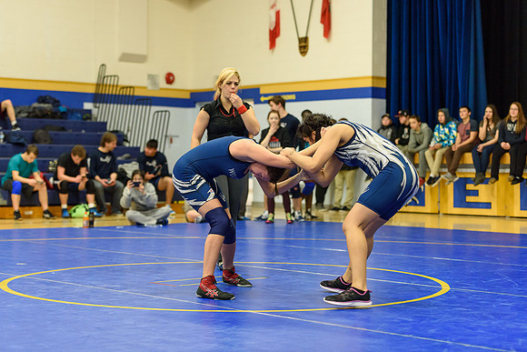Wrestling DHS 011516-3-4150