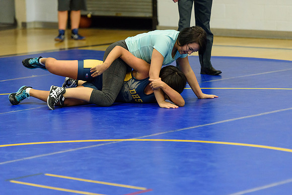 Wrestling DHS 011516-3-5102