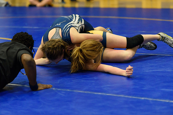 Wrestling DHS 011516-3-4982