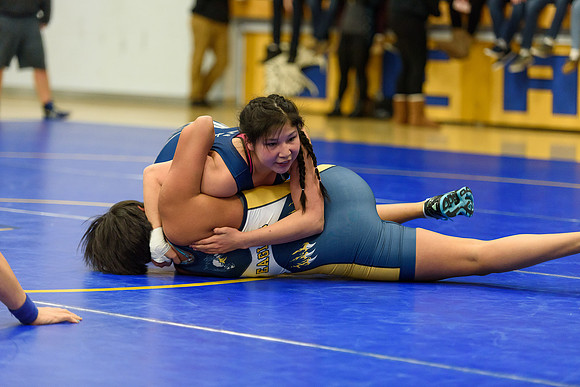 Wrestling DHS 011516-3-2345