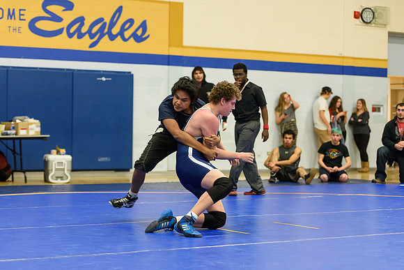 Wrestling DHS 011516-3-2529