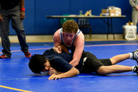 Wrestling DHS 011516-3-2457