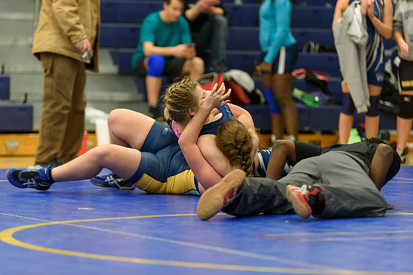 Wrestling DHS 011516-3-3527