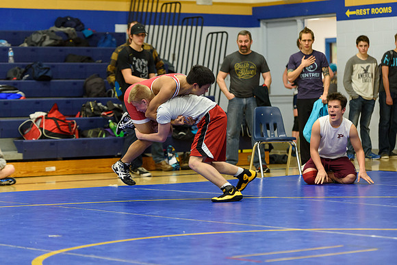 Wrestling DHS 011516-3-2642