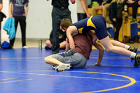 Wrestling DHS 011516-3-2801