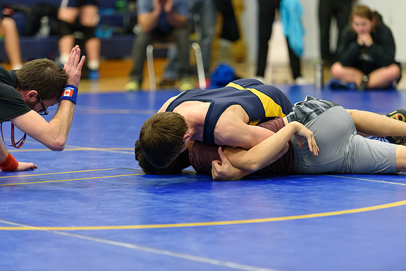 Wrestling DHS 011516-3-2819