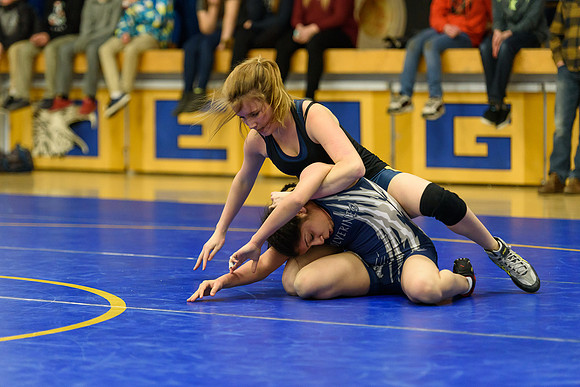 Wrestling DHS 011516-3-4027