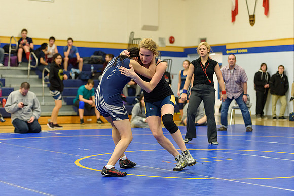 Wrestling DHS 011516-3-3976