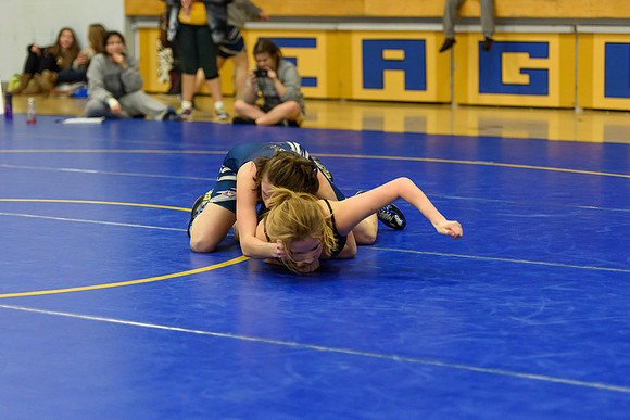 Wrestling DHS 011516-3-4976