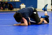 Wrestling DHS 011516-3-2537