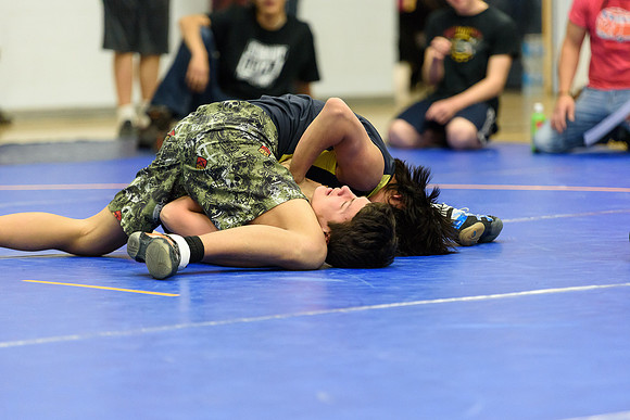Wrestling DHS 011516-3-3417