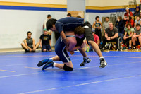 Wrestling DHS 011516-3-2543