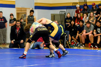 Wrestling DHS 011516-3-2189