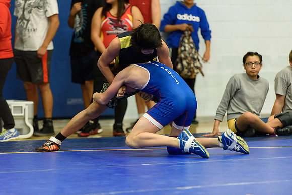 Wrestling DHS 011516-3-4187
