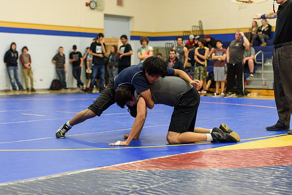 Wrestling DHS 011516-3-3600