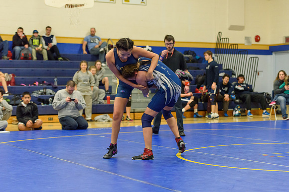 Wrestling DHS 011516-3-2253