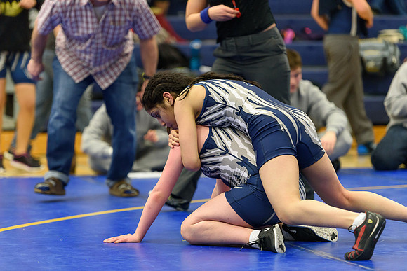 Wrestling DHS 011516-3-3304