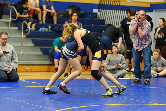 Wrestling DHS 011516-3-4116