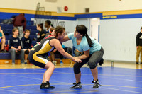 Wrestling DHS 011516-3-2358
