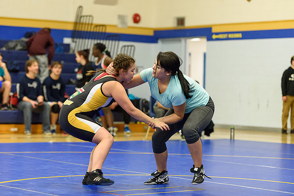 Wrestling DHS 011516-3-2358