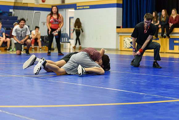 Wrestling DHS 011516-3-3678