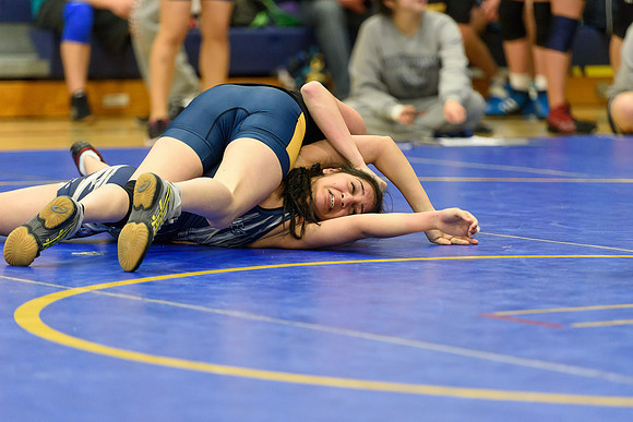 Wrestling DHS 011516-3-4133