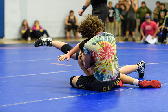 Wrestling DHS 011516-3-2134