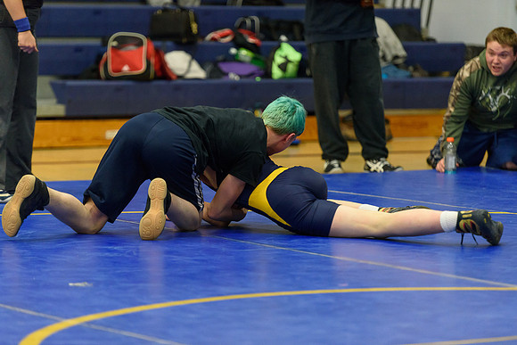 Wrestling DHS 011516-3-5309