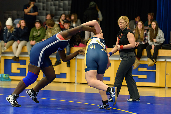 Wrestling DHS 011516-3-2507