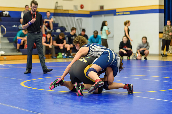 Wrestling DHS 011516-3-3344