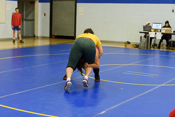 Wrestling DHS 011516-3-5955