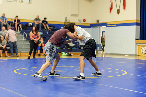 Wrestling DHS 011516-3-3613