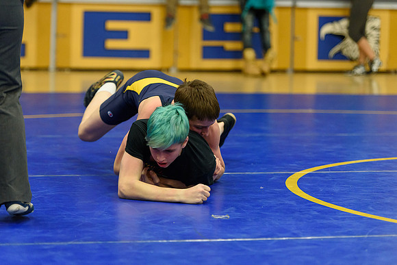 Wrestling DHS 011516-3-5324