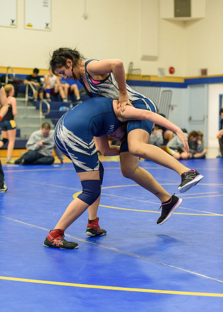 Wrestling DHS 011516-3-4155
