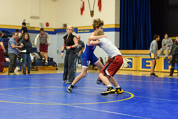 Wrestling DHS 011516-3-5253