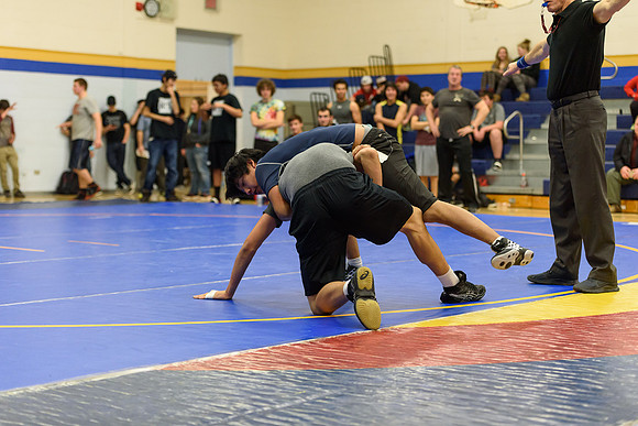 Wrestling DHS 011516-3-3601