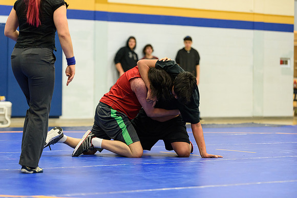 Wrestling DHS 011516-3-3766