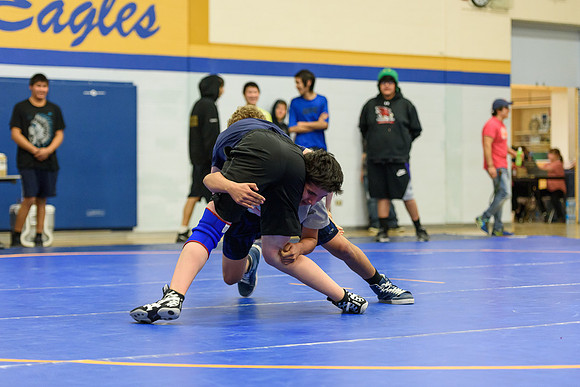 Wrestling DHS 011516-3-3501