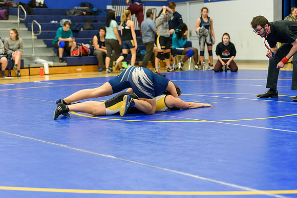 Wrestling DHS 011516-3-3436